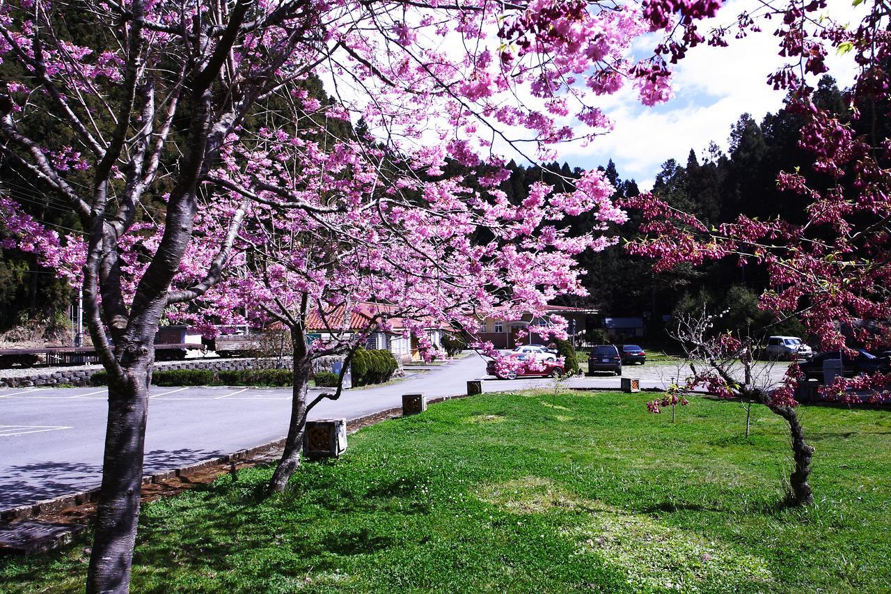 Alishan Youth Activity Center Чжунчжен Екстер'єр фото